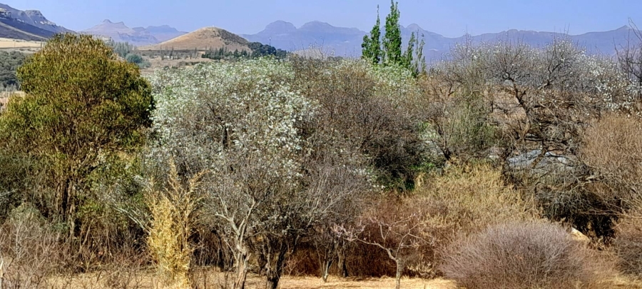  Bedroom Property for Sale in Clarens Free State